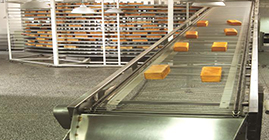 第四步：醒发——职业沉淀